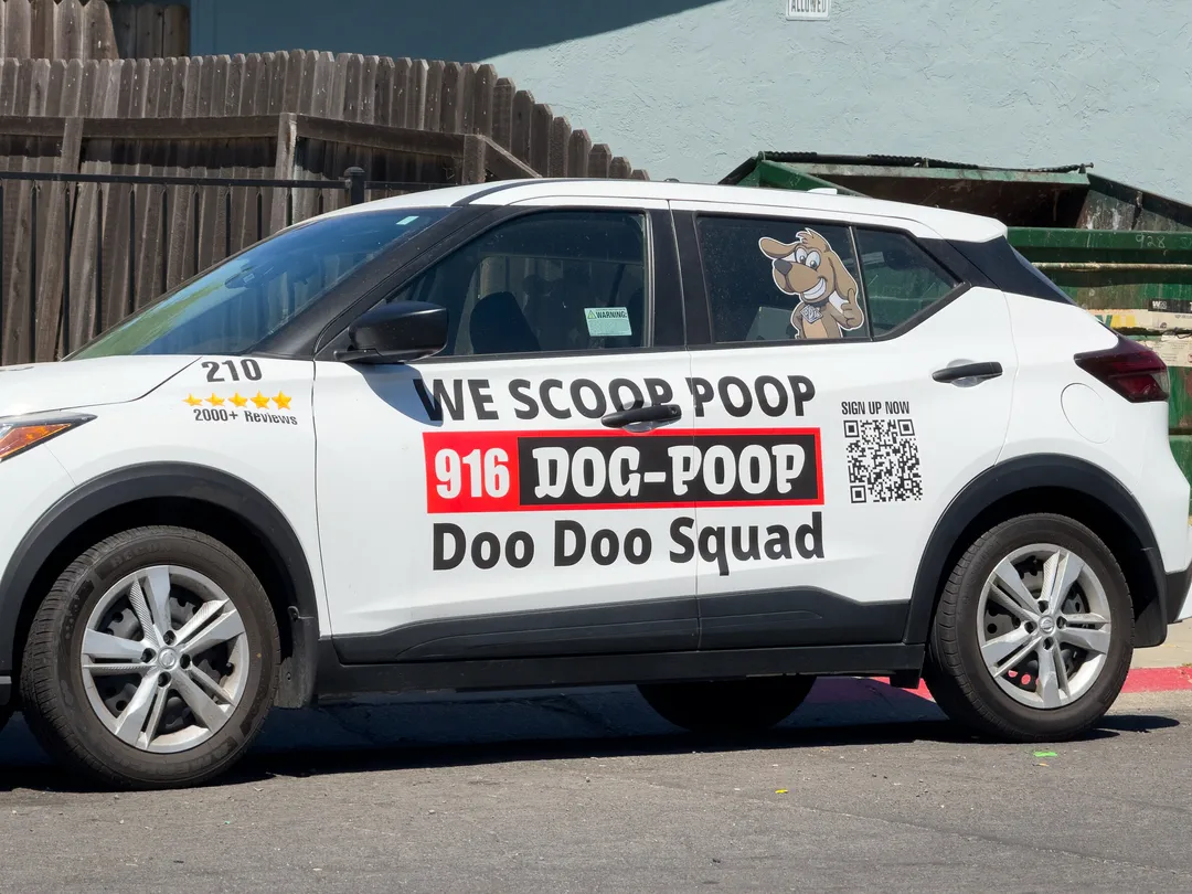 lettering on vehicle
